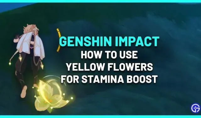Como encontrar e usar flores que restauram a resistência em Genshin Impact