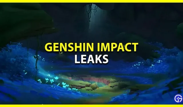 Leaky Genshin Impact(출시 예정 캐릭터, 배너 등)