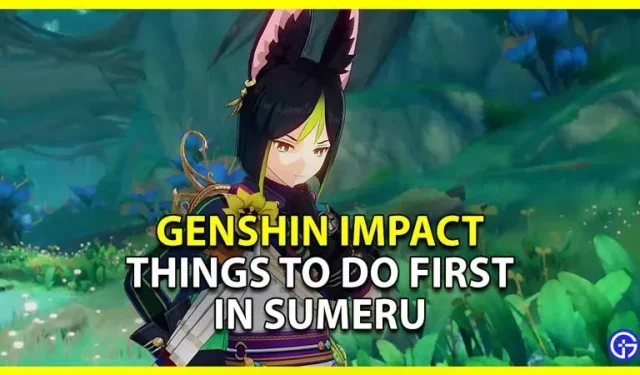 Genshin Impact: 3 Dinge, die man zuerst in Sumeru unternehmen sollte