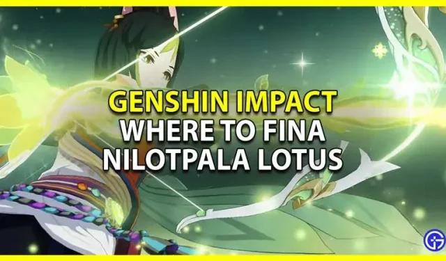 Genshin Impact: Nilotpala Lotus -sijainti ja kuinka saada se