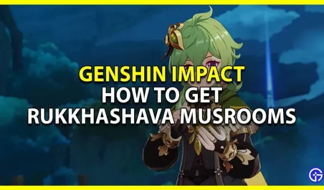 Champignons Genshin Impact Rukkhashava: comment obtenir et où trouver