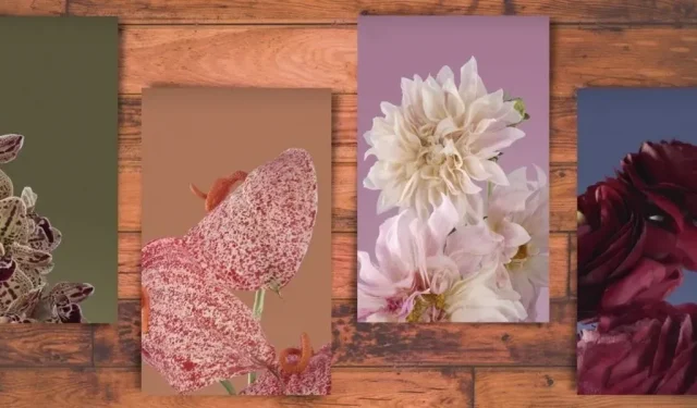 Come ottenere il nuovo sfondo di Google Live Bloom sul tuo Pixel