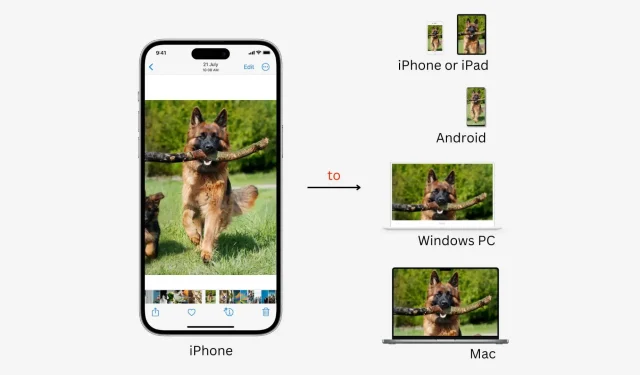 Kuidas teisaldada fotosid ja videoid iPhone’ist Androidi, Windowsi PC-sse, iOS-i ja Maci