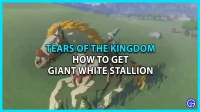Der beste Weg, einen riesigen weißen Hengst in Tears Of The Kingdom zu bekommen