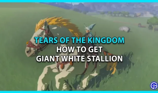 A melhor maneira de obter um enorme garanhão branco em Tears Of The Kingdom
