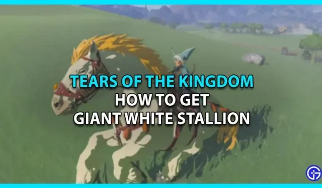 La meilleure façon d’obtenir un énorme étalon blanc dans Tears Of The Kingdom