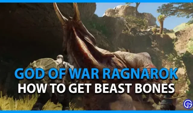 God Of War Ragnarok Beast Bones : 얻는 방법