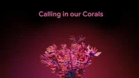 Google wil dat je je oren leent om koraalriffen te redden