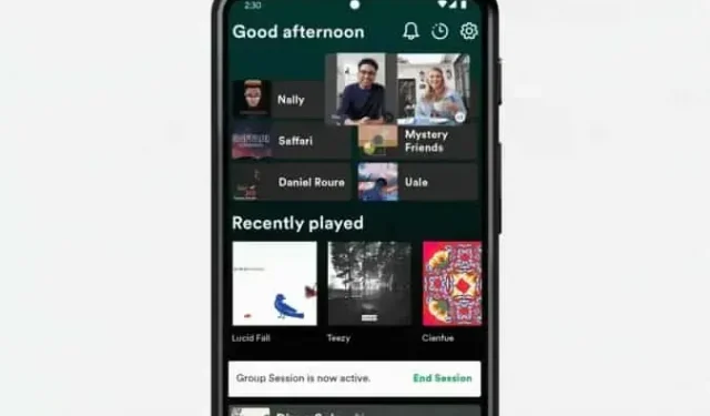 L’application combinée Google Meet et Duo vous permet de partager Spotify, YouTube et même des jeux multijoueurs.
