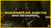Warhammer 40K Darktide: what are moans? (explanation)