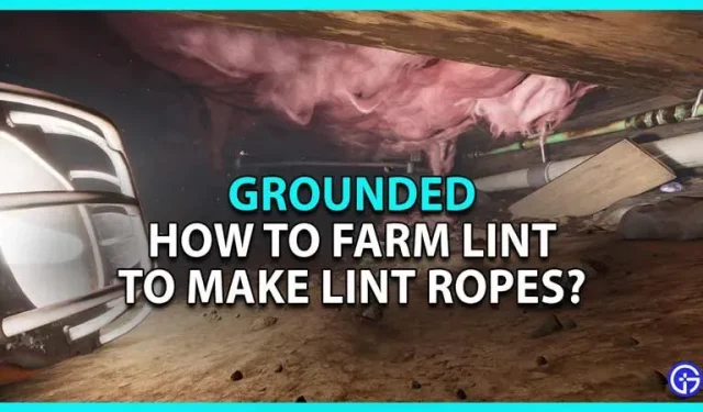 Grounded: Cómo hacer crecer una pila para hacer una cuerda de pila