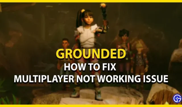 Grounded Multiplayer funktioniert nicht: So beheben Sie das Problem