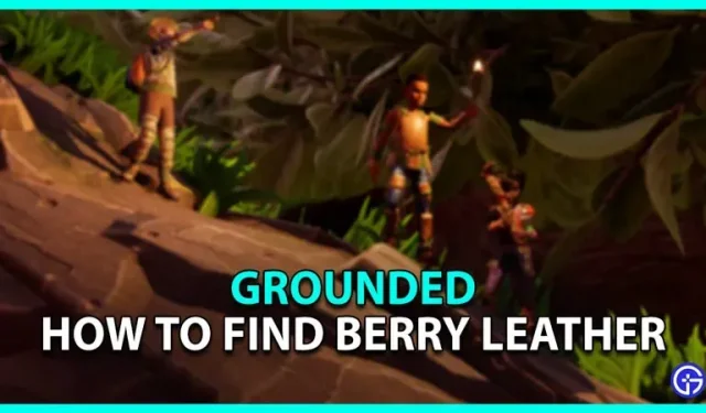 Sådan finder du Berry Skin i Grounded