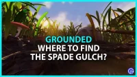 Grounded Spade Gulch: où le trouver