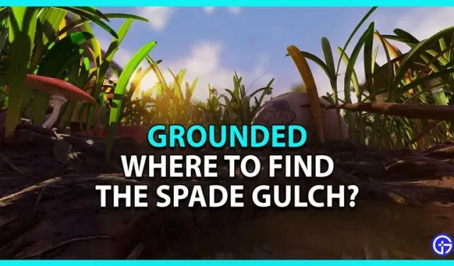 Grounded Spade Gulch: dónde encontrarlo