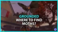 Grounded: dónde encontrar polillas