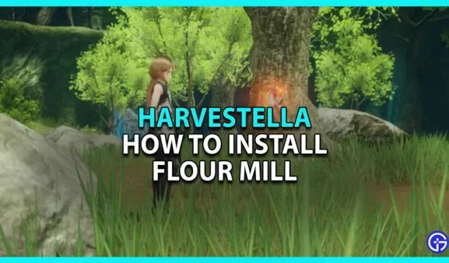 Harvestella: kuinka asentaa tuulimylly