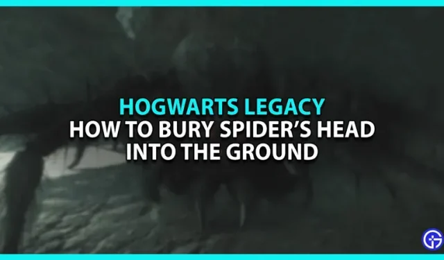Comment enterrer la tête d’une araignée dans Hogwarts Legacy