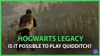 Is Zwerkbal beschikbaar op Hogwarts Legacy?