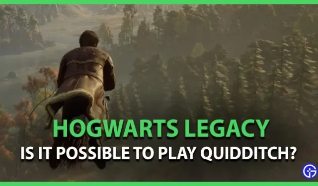 Is Zwerkbal beschikbaar op Hogwarts Legacy?