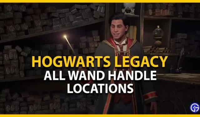 Lokalizacja rękojeści różdżki Hogwarts Legacy: gdzie znaleźć wszystko