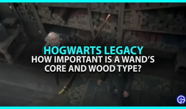 Legado de Hogwarts: ¿Qué tan importante es el tipo de madera y el núcleo de tu varita?