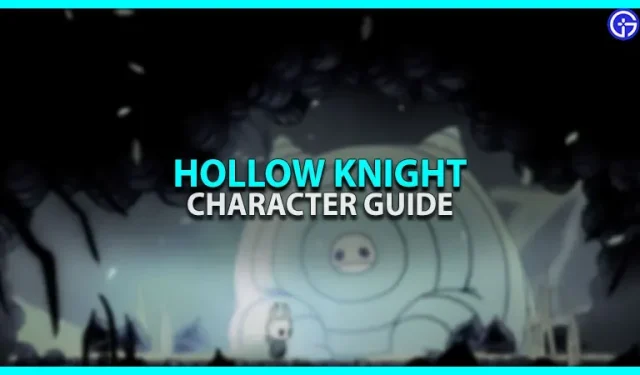 Hollow Knight: tärkeimmät hahmot