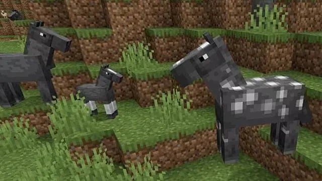 Minecraft: Horse Breeding Guide