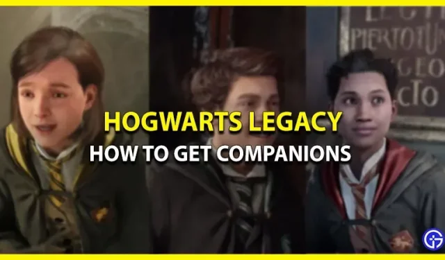 How to Bring Companions to Hogwarts Legacy