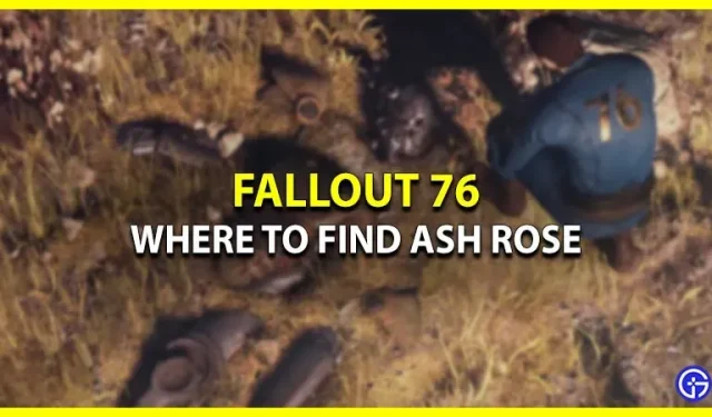 Расположение Эш Роуз в Fallout 76 — где найти