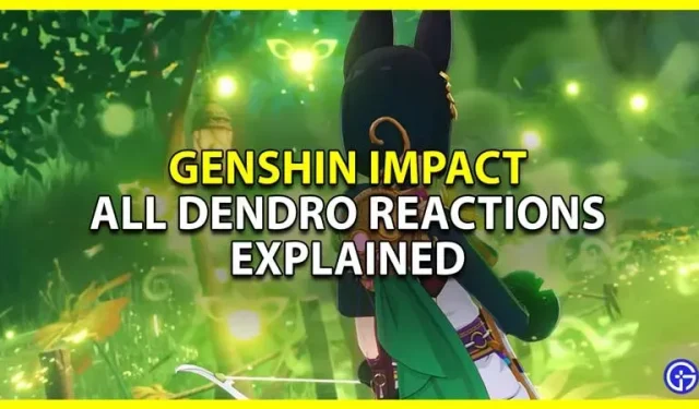 Genshin Impact Dendro: kõik reaktsioonid on selgitatud