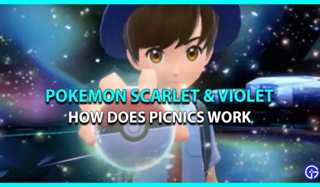 Mis on Pokemon Scarlet & Violet piknikud (selgitatud)