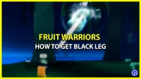 How to get the black leg fighting skill in Fruit Warriors