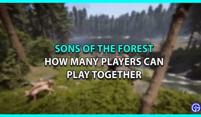 Quantos jogadores podem jogar juntos no multiplayer de Sons Of The Forest?