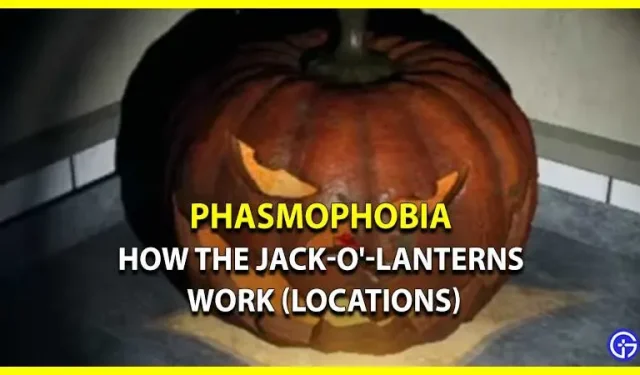 Hoe pompoenlantaarns werken met fasmofobie