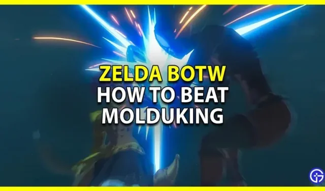 Hoe Molduking te verslaan in Zelda BOTW
