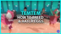 Comment élever et faire éclore des œufs dans Temtem