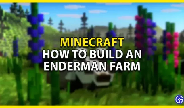 Minecraft Enderman Farm-Bauanleitung