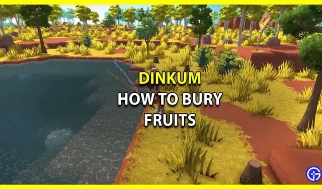 Dinkum: como enterrar frutas