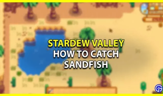Wie man Sandfische im Stardew Valley fängt (Standortführer)