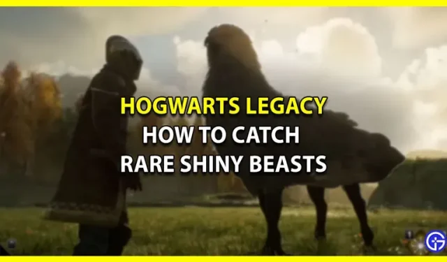 Hur man fångar glänsande bestar i Hogwarts Legacy (förklarat)
