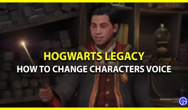 How to change the voice of a character in Hogwarts Legacy