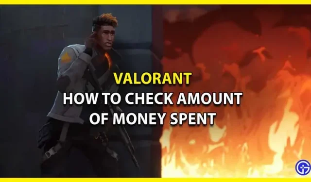 Valorant で費やした金額を確認する方法