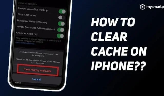 Come cancellare la cache su iPhone utilizzando diversi metodi per velocizzarlo
