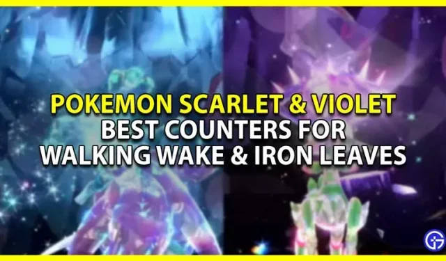 Meilleurs compteurs Walking Wake & Iron Leaves pour Pokemon Scarlet Violet (Tera Raids)