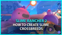 Slime Rancher 2: How to Create a Slime Hybrid