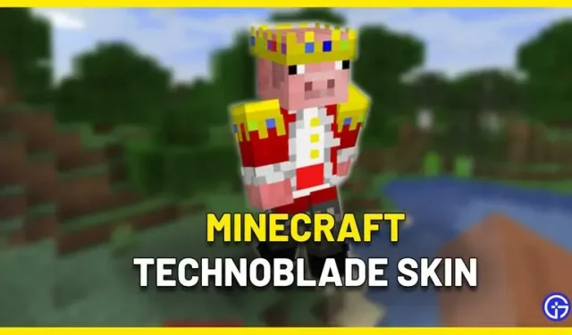 Technoblade Skin Minecraft: Herunterladen und Verwenden