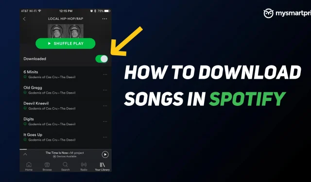 Hvordan man downloader musik til Spotify. Download sange til Spotify