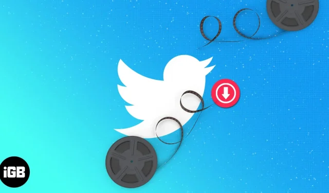 4 formas de descargar videos de Twitter en iPhone, iPad y Mac