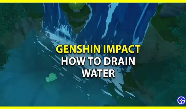 Genshin Impact : Sumeru에서 물을 빼는 방법